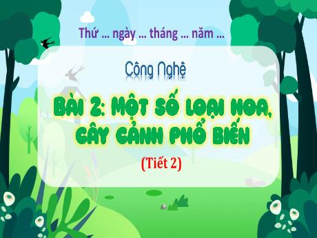 Bài giảng Công nghệ 4 (Kết nối tri thức) - Bài 2: Một số loại hoa, cây cảnh phổ biến (Tiết 1)