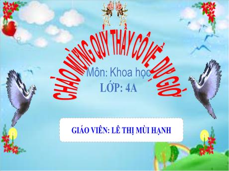 Bài giảng Khoa học 4 - Bài 28: Bảo vệ nguồn nước - Lê Thị Mùi Hạnh