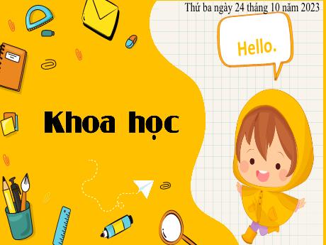 Bài giảng Khoa học 4 - Bài 9: Vai trò của ánh sáng - Năm học 2023-2024