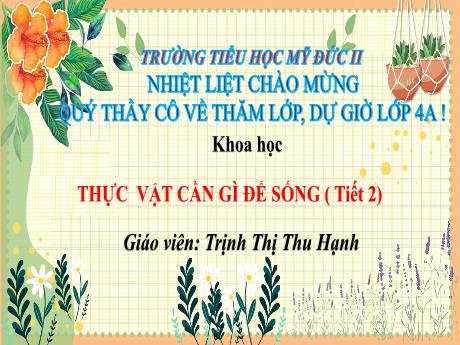 Bài giảng Khoa học 4 (Kết nối tri thức) - Bài 15: Thực vật cần gì để sống (Tiết 2) - Trịnh Thị Thu Hạnh