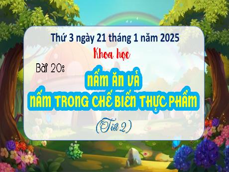 Bài giảng Khoa học 4 (Kết nối tri thức) - Bài 20: Nấm ăn và nấm trong chế biến thực phẩm (Tiết 2) - Năm học 2024-2025