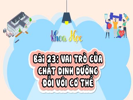 Bài giảng Khoa học 4 (Kết nối tri thức) - Bài 23: Vai trò của chất dinh dưỡng đối với cơ thể