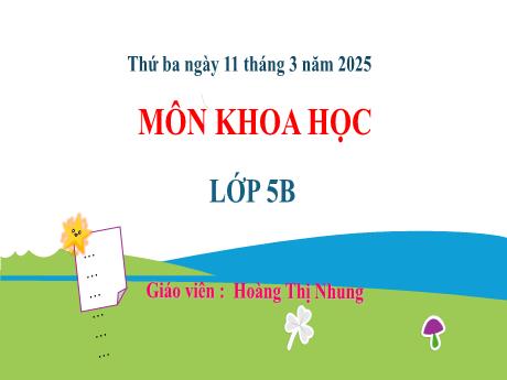 Bài giảng Khoa học 5 (Kết nối tri thức) - Bài 24: Nam và nữ (Tiết 2) - Năm học 2024-2025 - Hoàng Thị Nhung