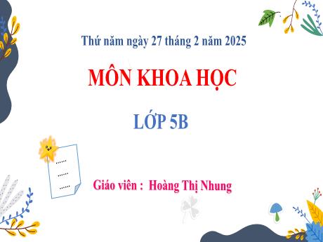 Bài giảng Khoa học 5 (Kết nối tri thức) - Sự hình thành cơ thể người (Tiết 2) - Năm học 2024-2025 - Hoàng Thị Nhung