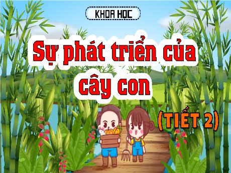 Bài giảng Khoa học 5 (Kết nối tri thức) - Sự phát triển của cây con