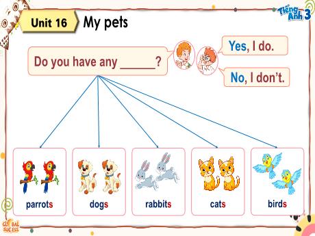 Bài giảng Tiếng Anh 3 (Global) - Unit 16: My pets
