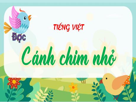 Bài giảng Tiếng Việt 4 (Kết nối tri thức) - Đọc: Cánh chim nhỏ
