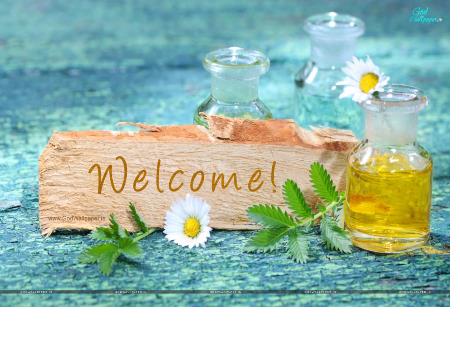 Bài giảng Tiếng Việt 4 (Luyện từ và câu) - Lựa chọn từ ngữ