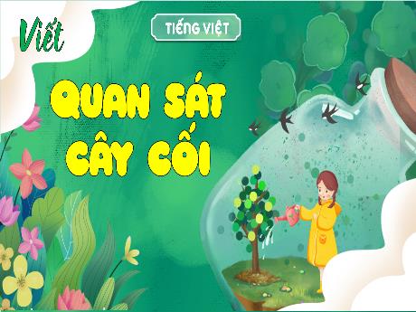 Bài giảng Tiếng Việt 4 - Quan sát cây cối