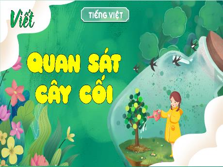 Bài giảng Tiếng Việt 4 - Viết: Quan sát cây cối