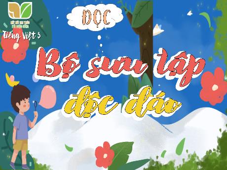 Bài giảng Tiếng Việt 5 (Kết nối tri thức) - Đọc: Bộ sưu tập độc đáo