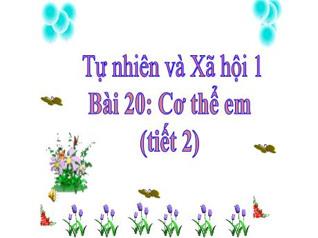Bài giảng Tự nhiên và Xã hội 1 - Bài 20: Cơ thể em (Tiết 2)