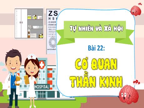 Bài giảng Tự nhiên và Xã hội 3 (Kết nối tri thức) - Bài 22: Cơ quan thần kinh (Tiết 1)