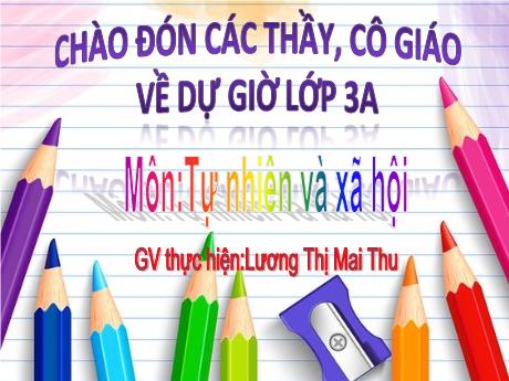 Bài giảng Tự nhiên và xã hội 3 (Kết nối tri thức) - Lương Thị Mai Thu