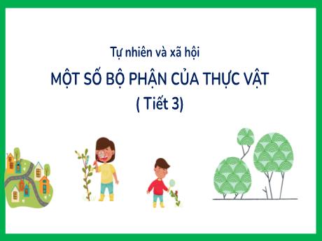 Bài giảng Tự nhiên và xã hội 3 - Một số bộ phận của thực vật (Tiết 3)